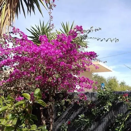 Holiday home Casa Ibischia, Fronte Mare