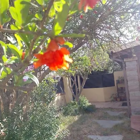 Casa Ibischia, Fronte Mare Дом отдыха *